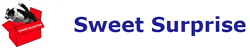 Afbeelding van webproject